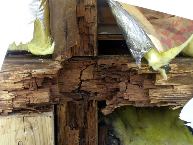 雨漏り被害による木材の腐食
