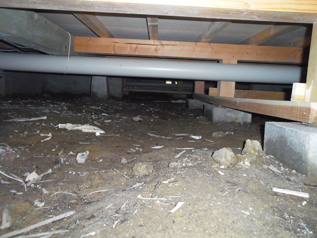 束石や基礎の立上りが濡れている事例