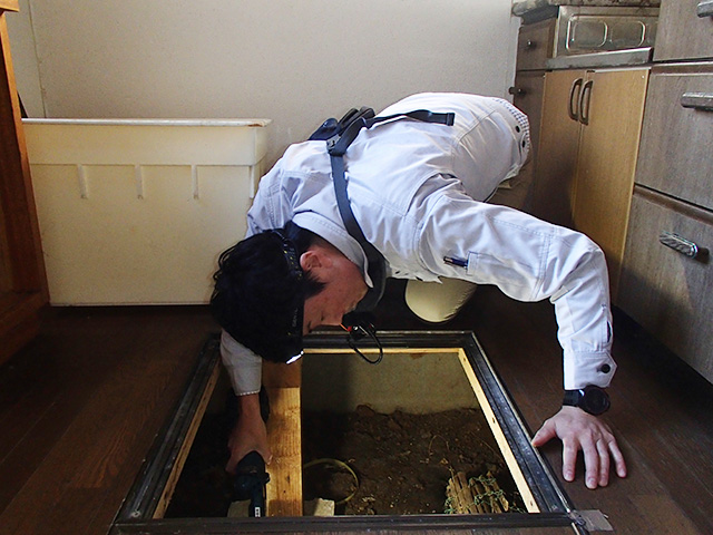 居住中の一戸建ての状況を調査します